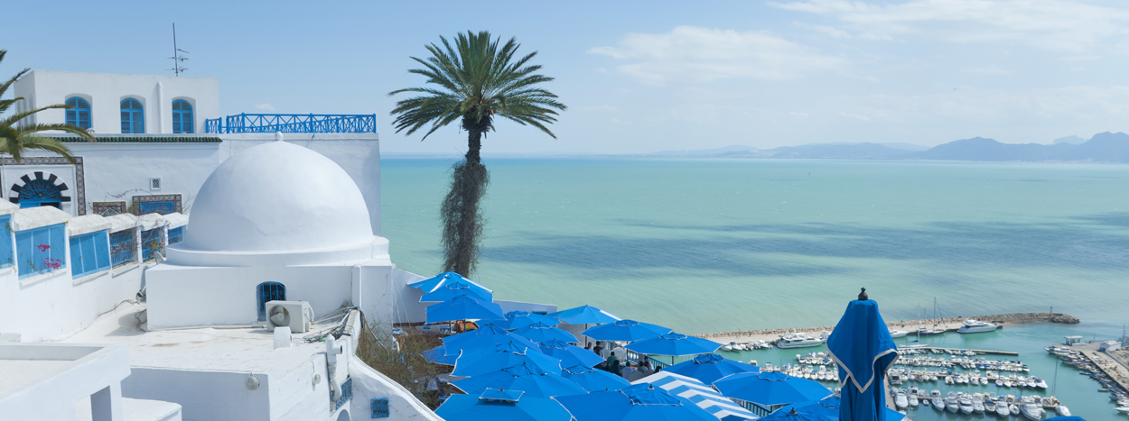 http://sultanatours.com/wp-content/uploads/2012/09/top_slide_tunisie.jpg